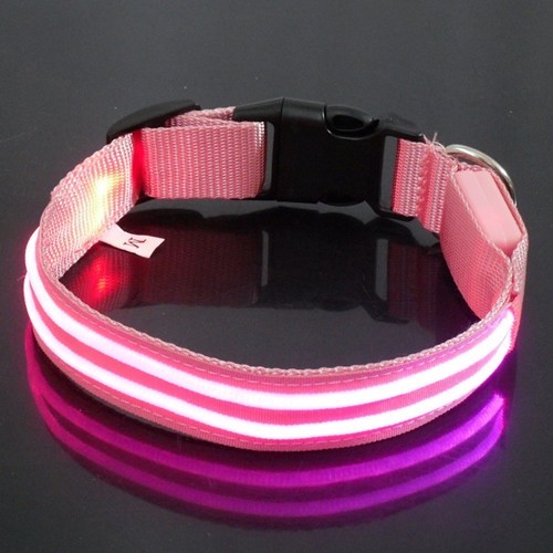 Dog Collar Pet
