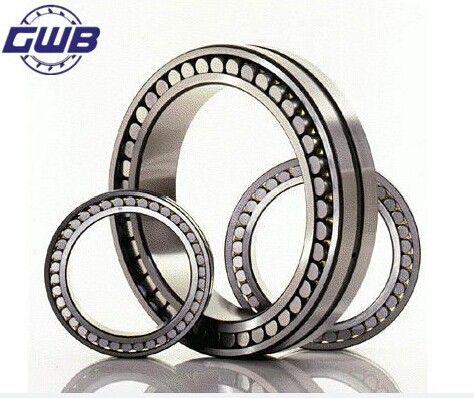 Double Row Thrust Ball Bearing