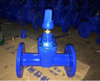 Ductile Iron Din3352 F5 Gate Valve Dn80