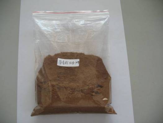 Fennel Powder Lkbj005