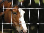 Fixed Knot Fence