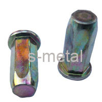 Flat Head Closed End Blind Rivet Nut