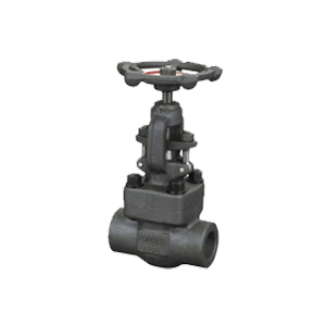 Forged Steel Globe Valve