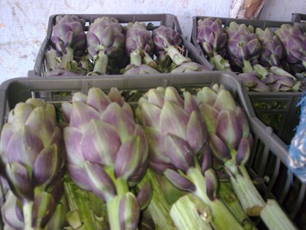 Fresh Artichoke With High Quality