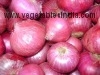 Fresh Vegetable Onion