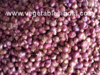 Fresh Vegetable Small Onion