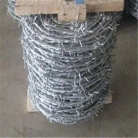 Galvanized Barbed Wire