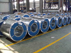 Galvanized Hot Steel Coil