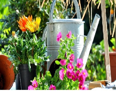 Garden Accessories Such As Watering Cans Bird Bath Feeders And Many More