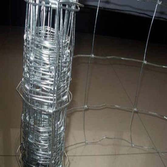 Grassland Wire Mesh From Factory