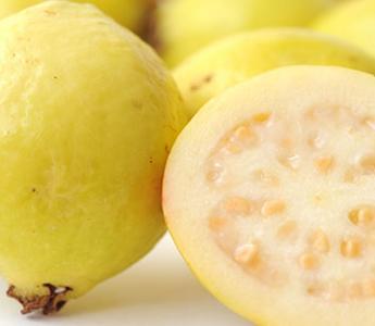 Guava Export Season Whole Year Except May And June