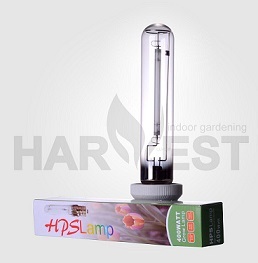 High Pressure Sodium Bulbs