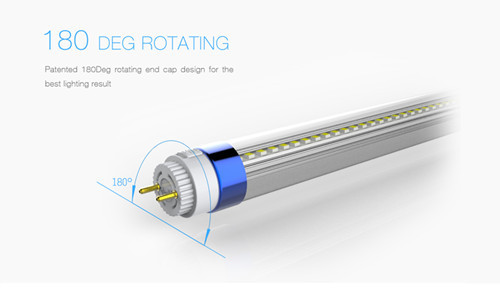 High Quality T8 Led Light With 5 Years Warranty