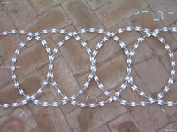 Hot Diped Galvanized Razor Barbed Wire Z