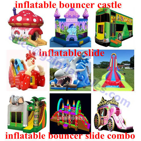 Inflatable Bouncer Slide