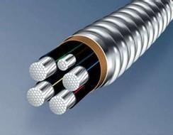 Interlocked Aluminum Alloy Armored Cable Electric