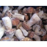 Iqf Frozen Mushroom Boletus Edulis