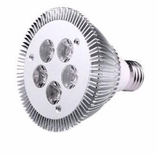 Led Spot Light Par30 5w