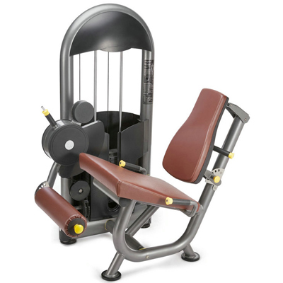 Leg Extension Fitness Equipment Gym