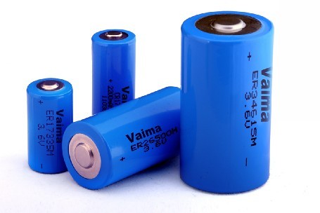 Lisocl2 Battery