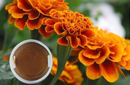 Marigold Oleoresin For Lutein Zeaxanthin Healthcare Business