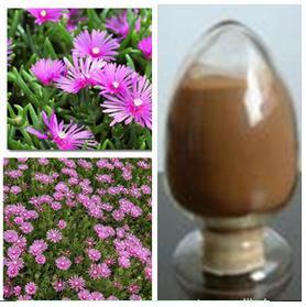 Mesembrianthemum Sceletium Tortuosum Extract