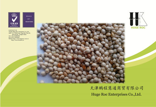 Millet For Human Food Feed Bird