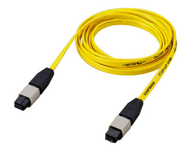 Mpo 12 Lc Singlemode Patch Cord