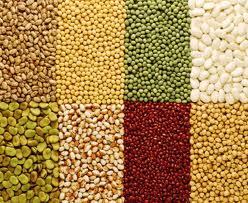 Organic Pulses Such As Chickpeas Kala Chana Masoor Dal Moong Moth Bean