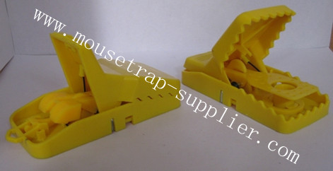 Plastic Rat Trap Atmt1003 1