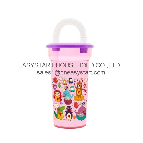 Plastic Straw Cup Water Bottle