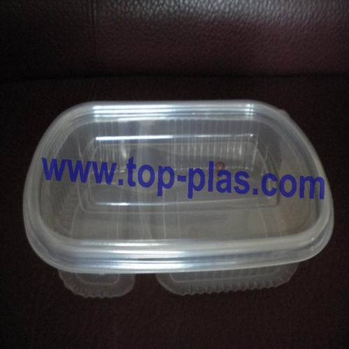 Plastic Takeaway Lunch Continer