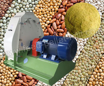 Poultry Feed Hammer Mill