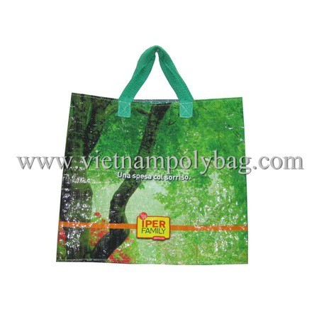 Pp Woven Carrier Shopping Bag