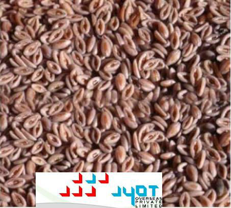 Psyllium Seed 99 Pure