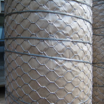 Pvc Coated Galvanized Hexagonal Wire Netting