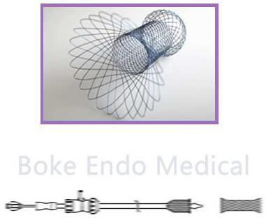 Pylorus Stent Self Expandable Stents