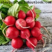 Radish Red Natural Pigment