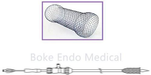 Rectum Stent Otw Tts Self Expendable Stents