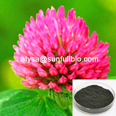 Red Clover Extract 8 20 40 Isoflavones