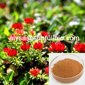 Rhodiola Rosea Extract Rosavins