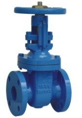 Rising Stem Metal Seated Gate Valve Ansi 125 150