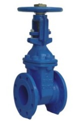 Rising Stem Resilient Seated Gate Valve Din3352 F4