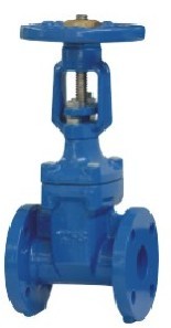 Rising Stem Resilient Soft Seated Gate Valves Ansi 125 150