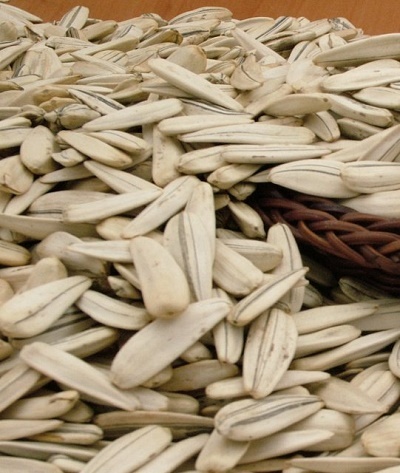 Roasted Raw Turkish White Sunflower Seeds 6 5mm