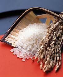 Round Rice High Quality