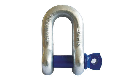 Screw Pin Chain Shackle S6