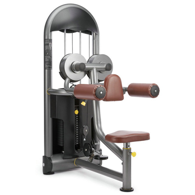 Seated Lateral Raise Fitness Equipment Gym