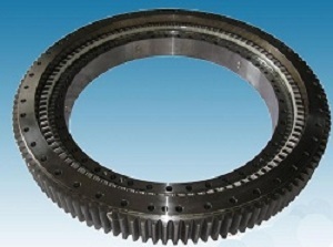 Slewing Bearing For Crawler Crane