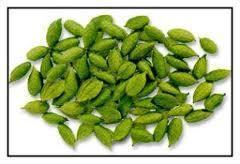 Spices Green Cardamom